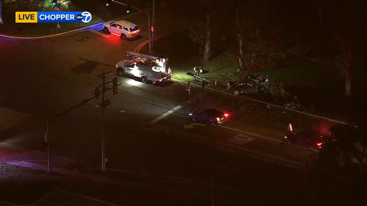 Car crashes into tree, partially closes Dundee Road, Palatine police say
       — ABC7 Chicago (WLS-TV)