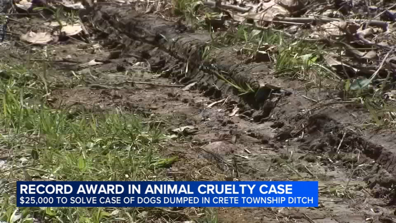 $25K reward now offered for information after 6 dead dogs found dumped in Crete Township
       — Hinsdale Community news
