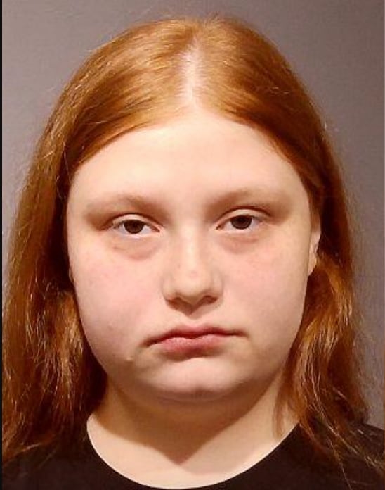 Plano woman charged after allegedly attempting to run over someone during dispute — Hinsdale Community news